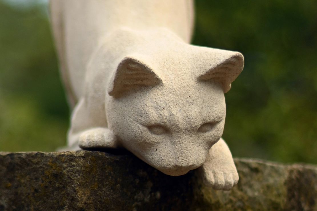 Carving a Cat - Part 2